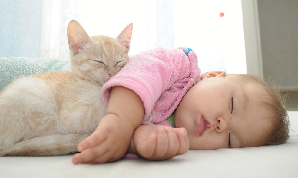 Cat sleeping with a new baby